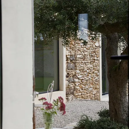 Orman Evi Casamaas