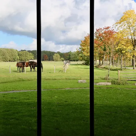 Casamaas Les Basses Masures