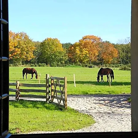 Casamaas Lodge Les Basses Masures